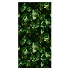 Green Leaf Greenery Nature Wallpaper