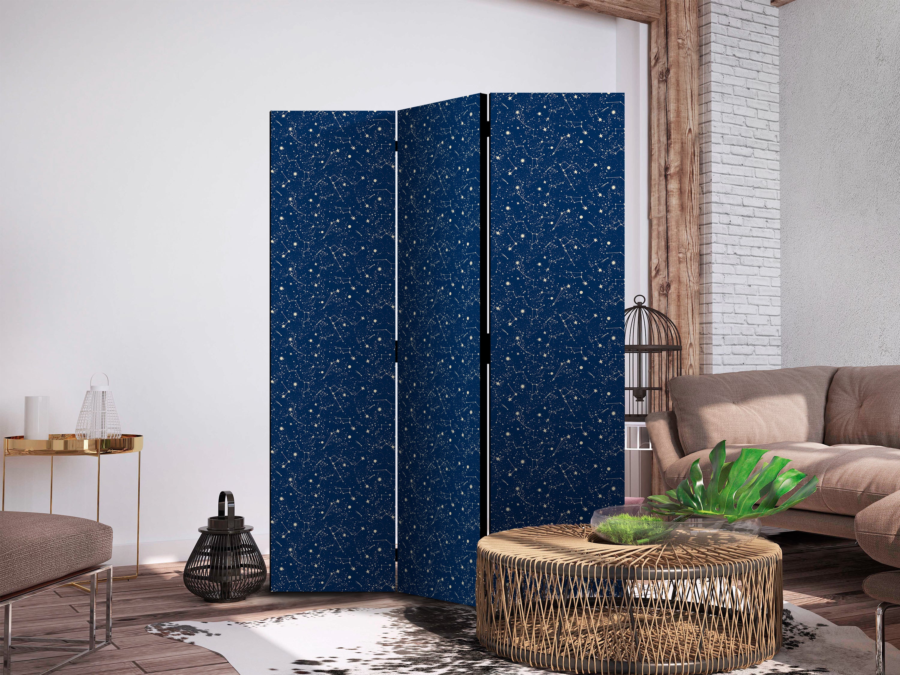 Room Divider with Stars and Constellations on Dark Background