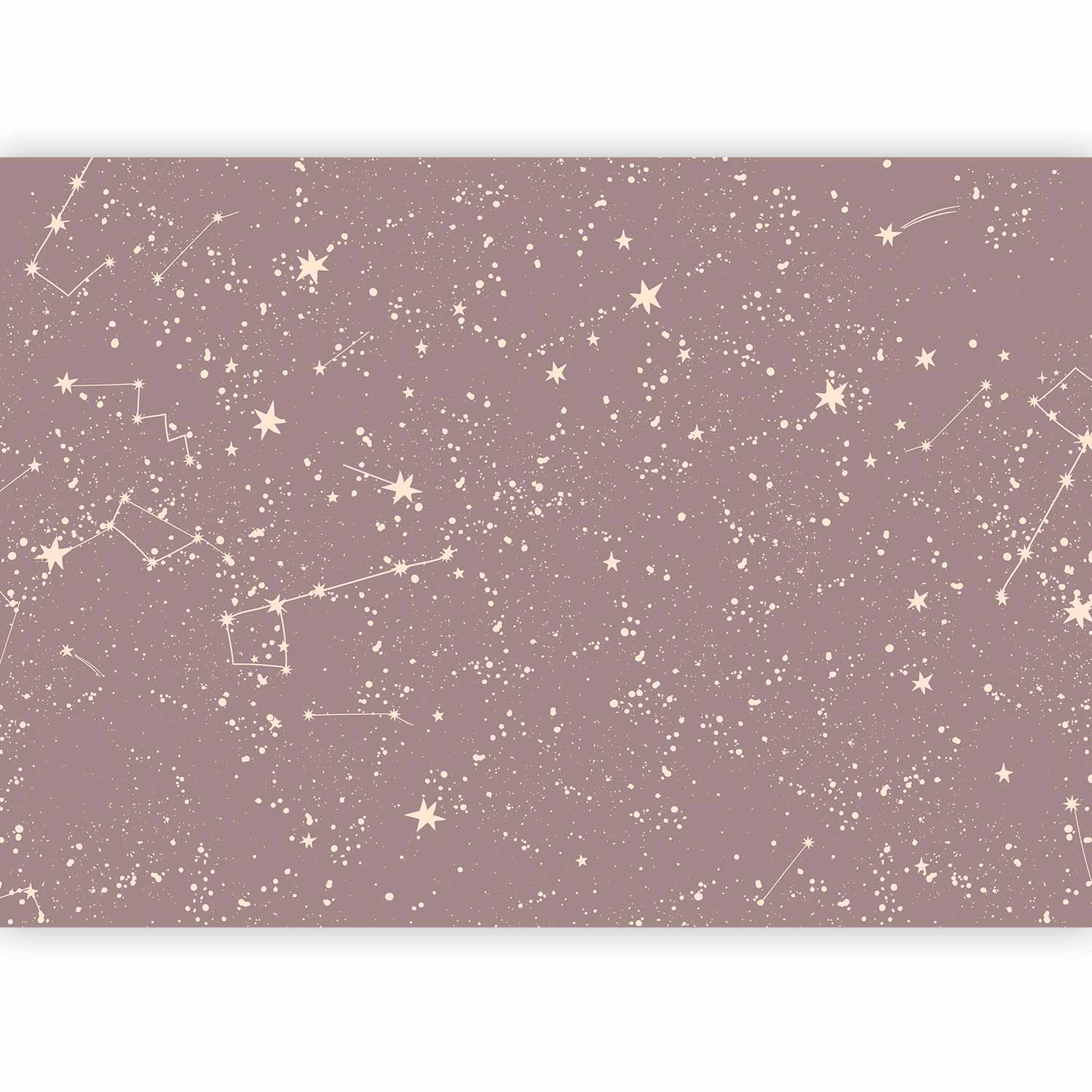 Wall Mural Night Sky Constellations in Pastel Shades
