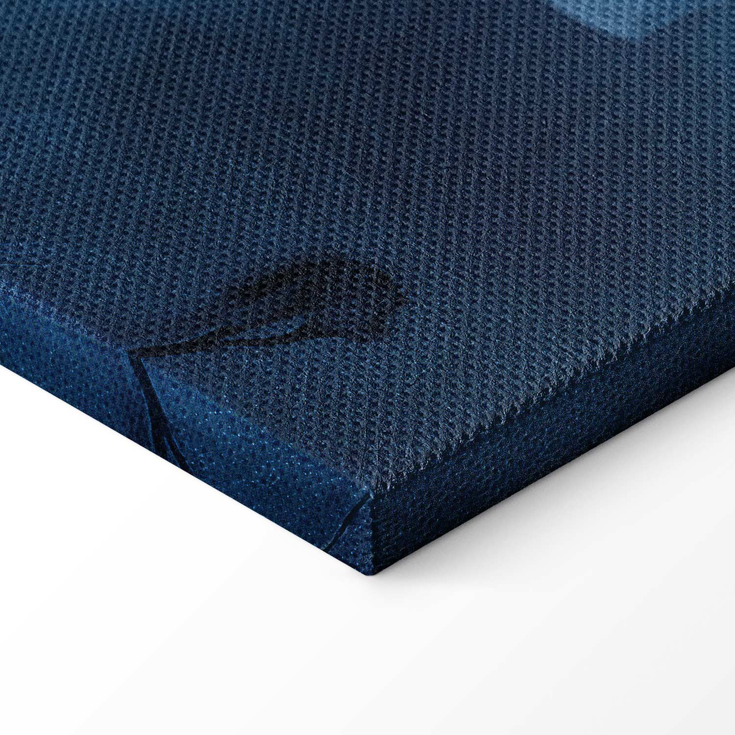 Blue Baroque Ornament Dark Background Canvas Print