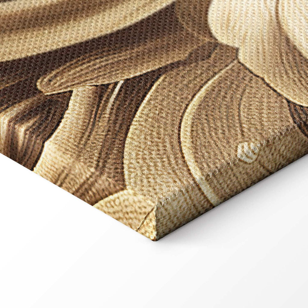 Sepia Baroque Ornament Relief Canvas Print