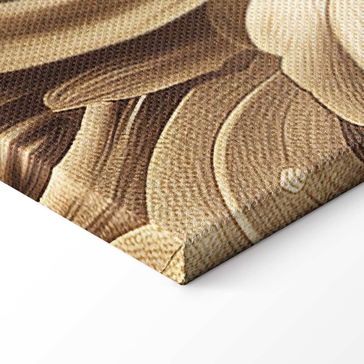 Sepia Baroque Ornament Relief Canvas Print