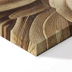 Sepia Baroque Ornament Relief Canvas Print