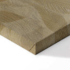 Sand Botanical Leaves and Vines Canvas Print