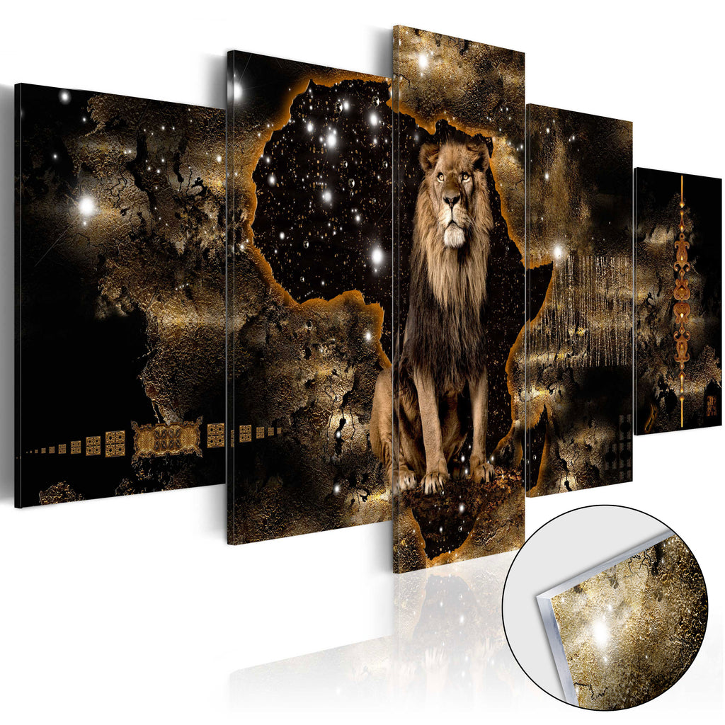 Golden Lion Africa Acrylic Print