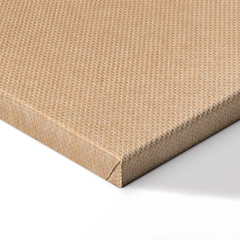 White Flamingo Bird Canvas Print