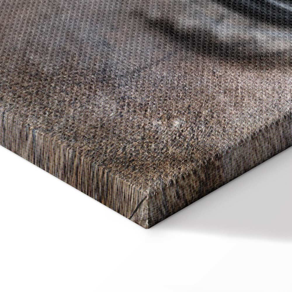 Horse Portrait Canvas Print