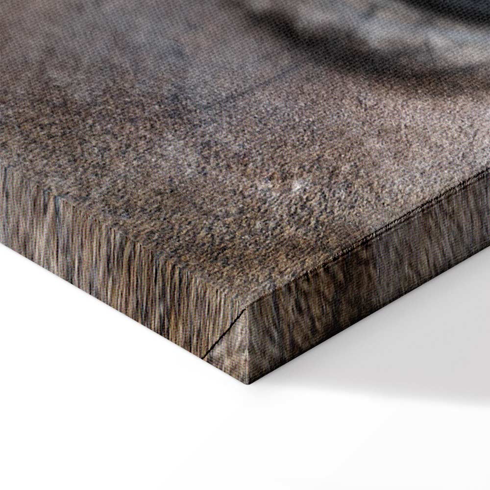 Horse Portrait Canvas Print