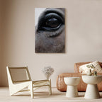 Horse Portrait Canvas Print