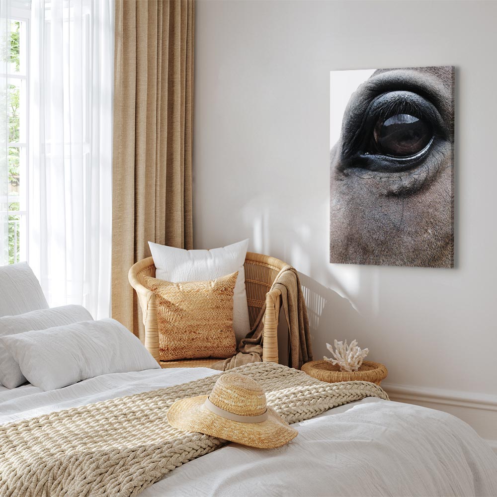 Horse Portrait Canvas Print