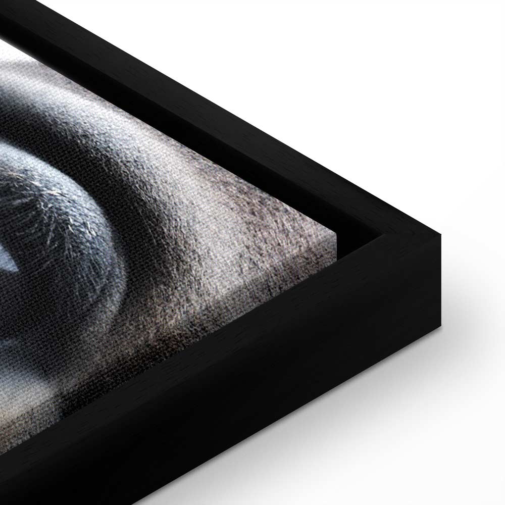 Horse Portrait Canvas Print