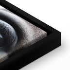 Horse Portrait Canvas Print