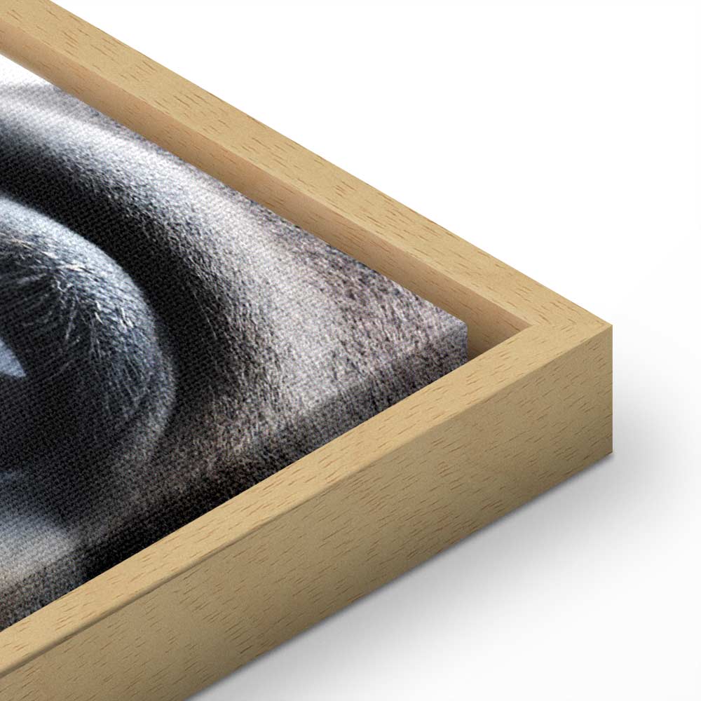 Horse Portrait Canvas Print