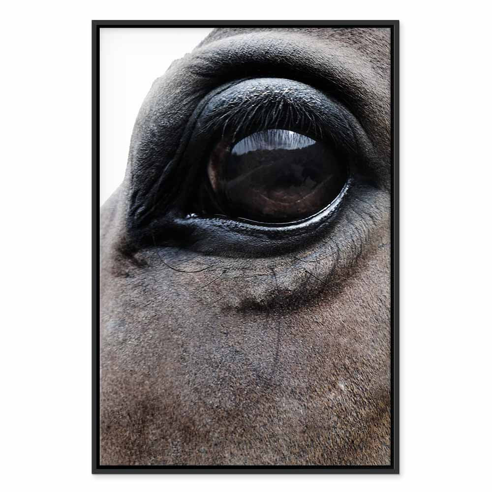 Horse Portrait Canvas Print