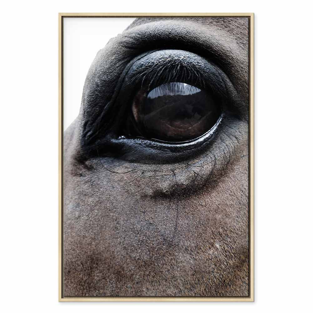 Horse Portrait Canvas Print