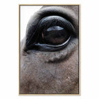 Horse Portrait Canvas Print