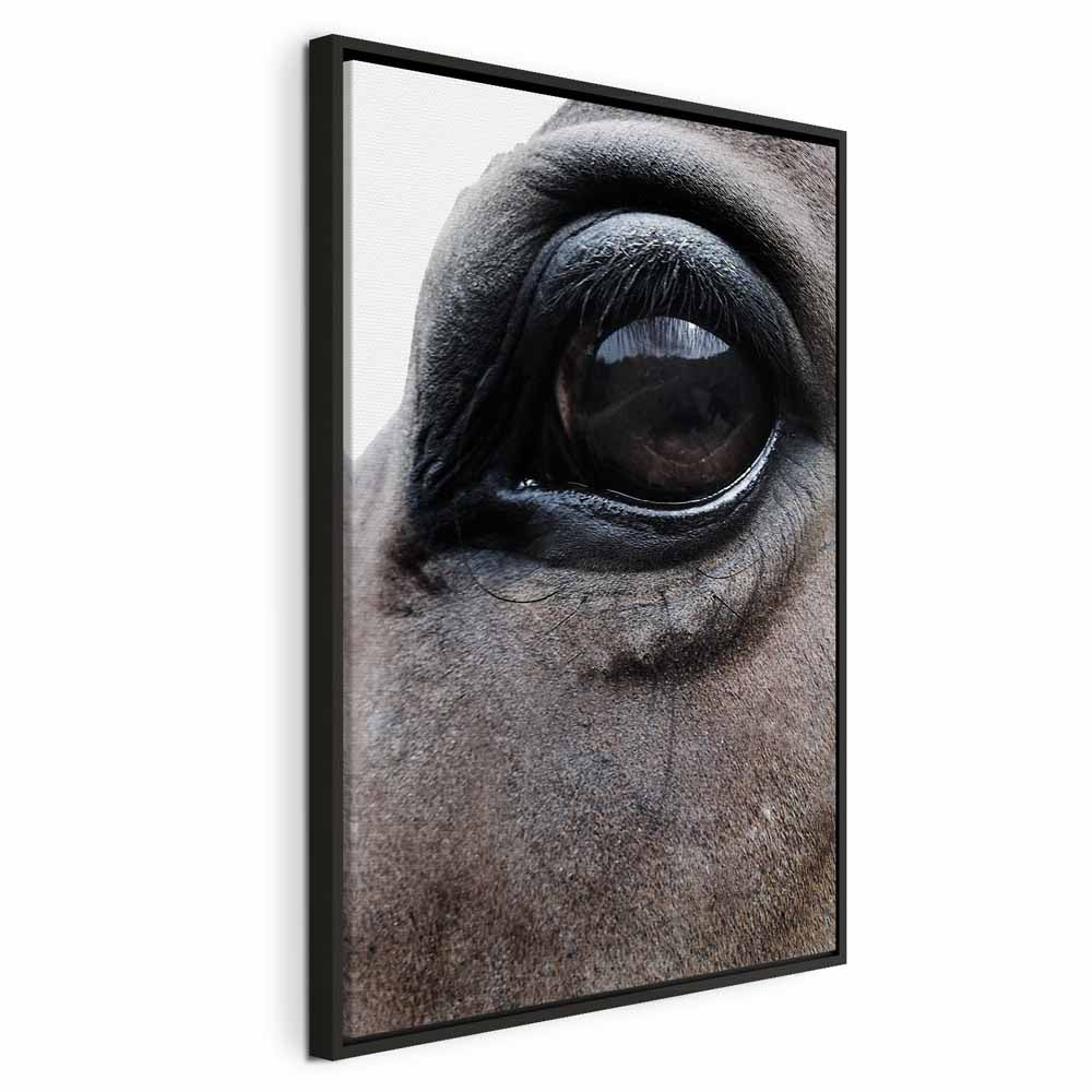 Horse Portrait Canvas Print