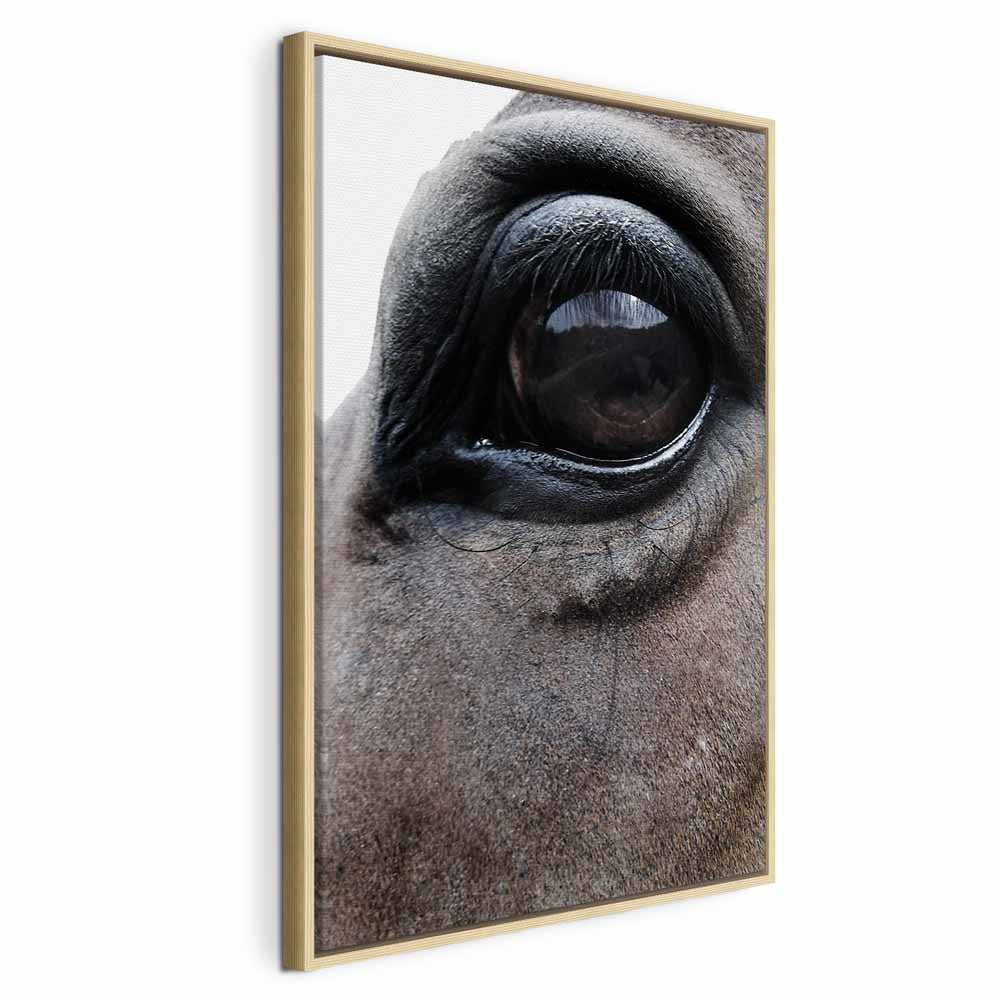 Horse Portrait Canvas Print