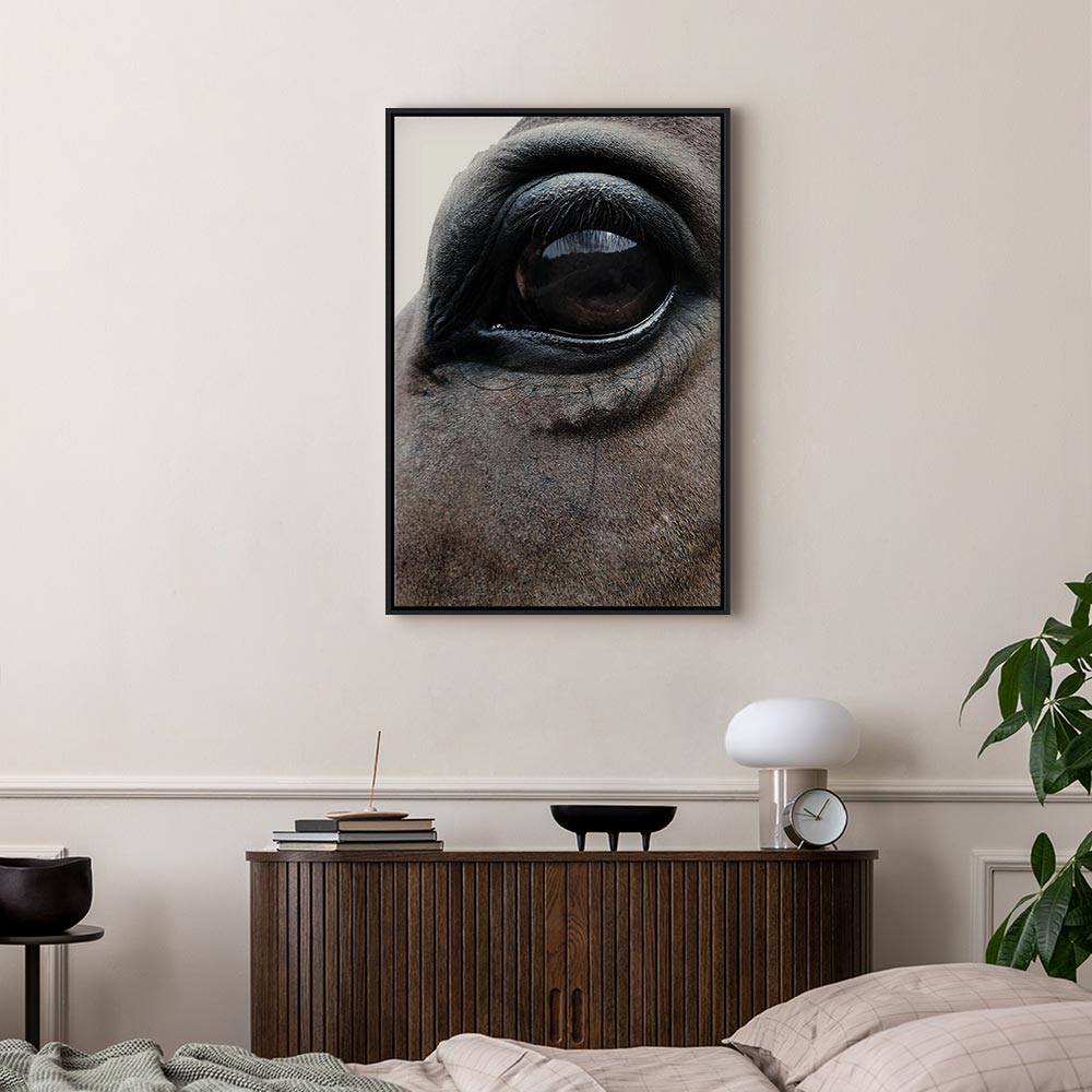Horse Portrait Canvas Print