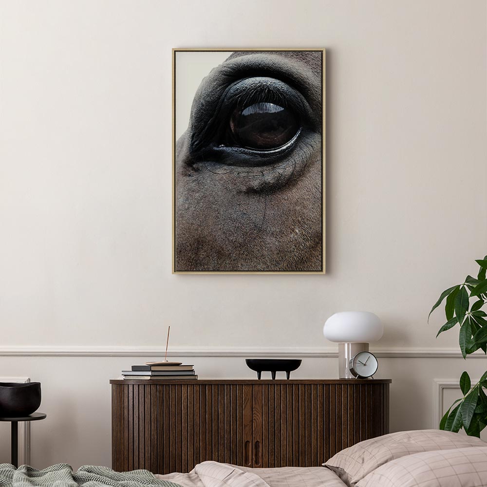 Horse Portrait Canvas Print