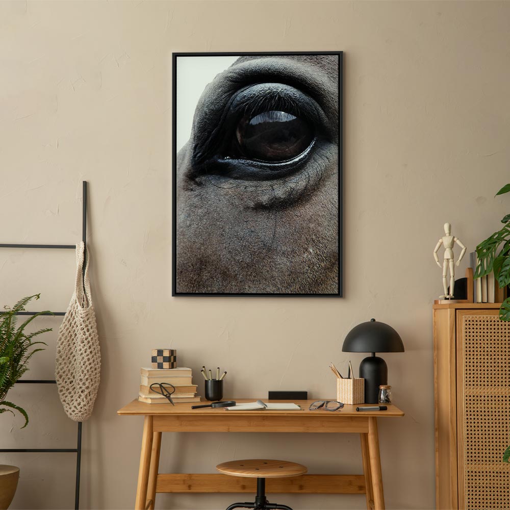 Horse Portrait Canvas Print