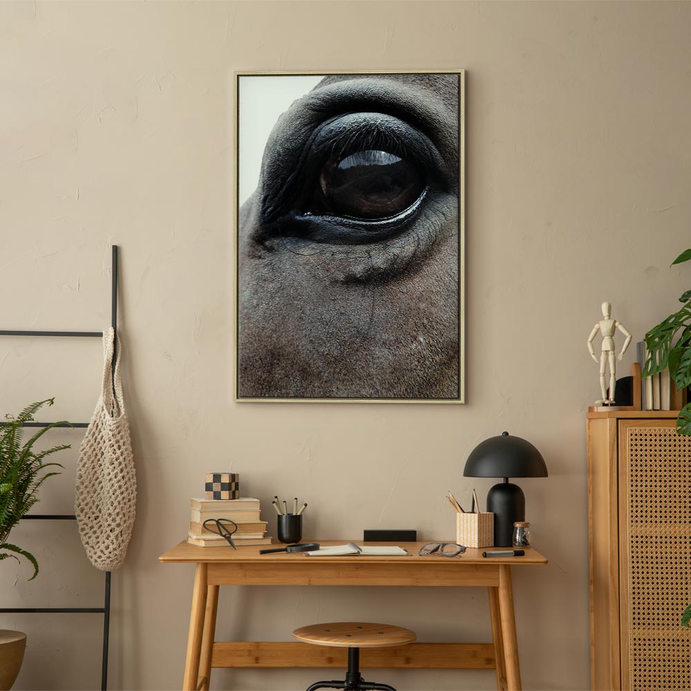 Horse Portrait Canvas Print