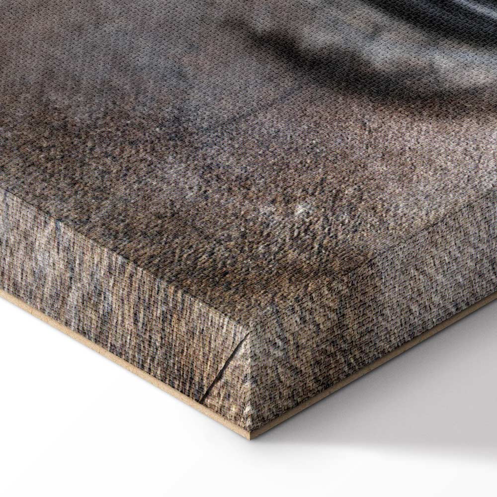 Horse Portrait Canvas Print