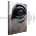 Horse Portrait Canvas Print