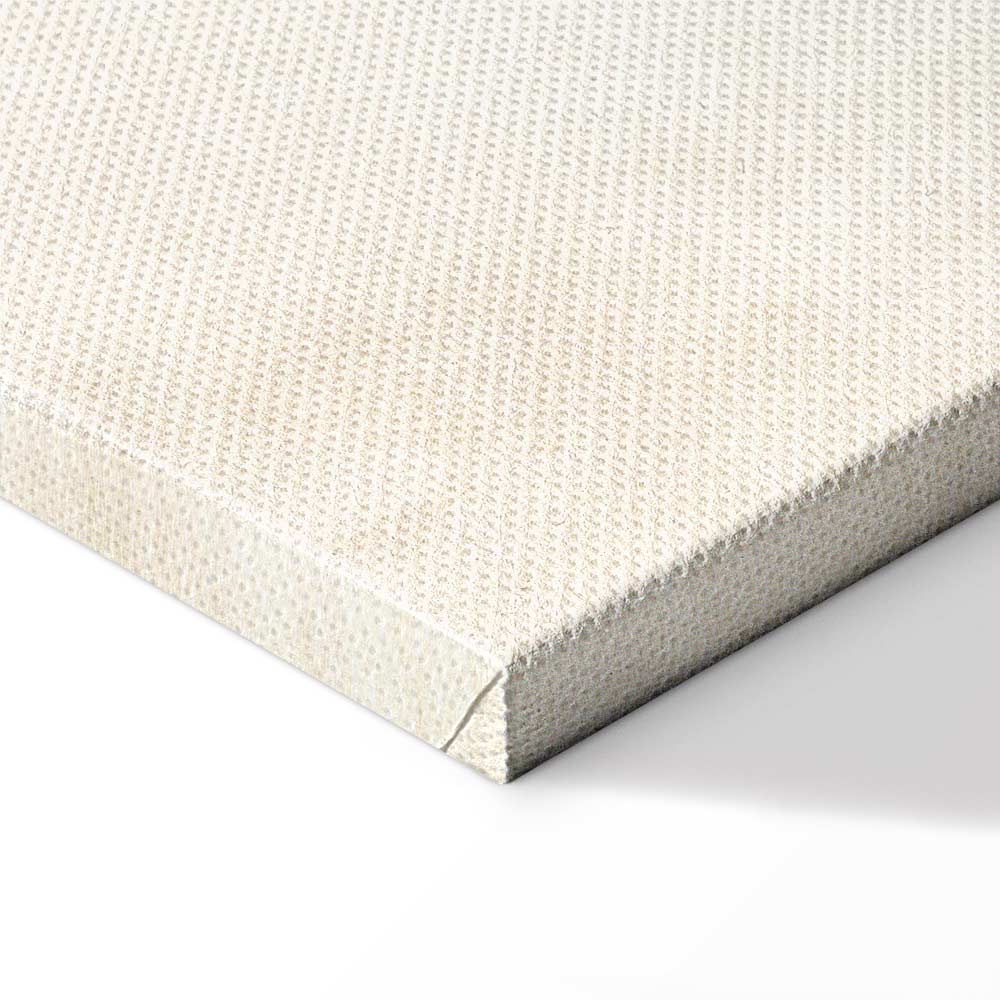 Frozen Sparrows Winter Birds Canvas Print