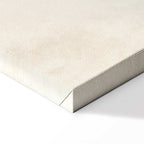 Frozen Sparrows Winter Birds Canvas Print