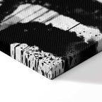 Striped Zebra Nature Canvas Print