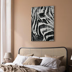 Striped Zebra Nature Canvas Print