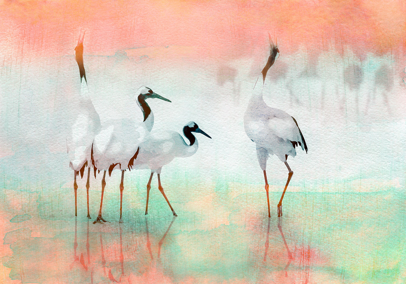 Wall Mural Cranes in Pastels