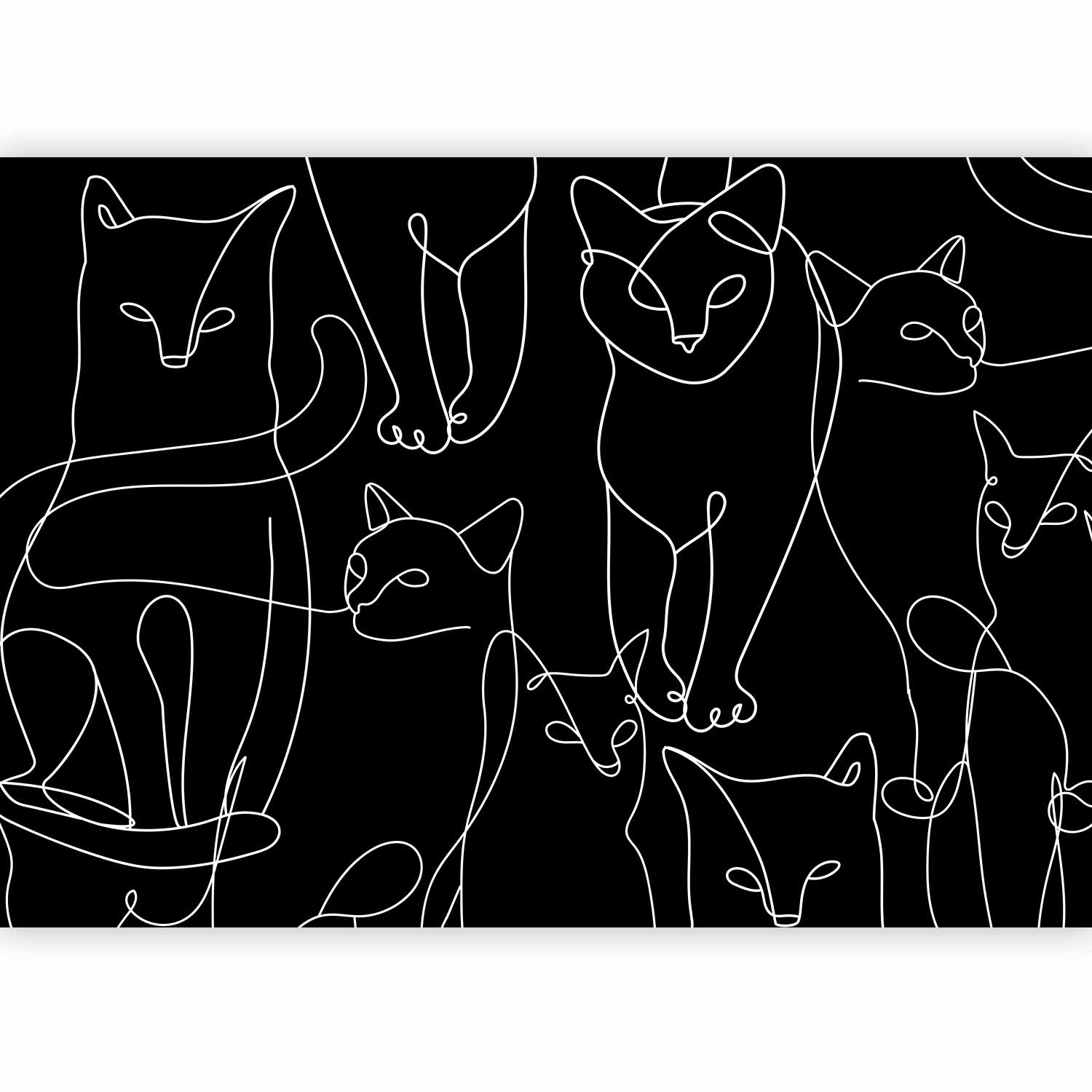 Wall Mural Cat Habits