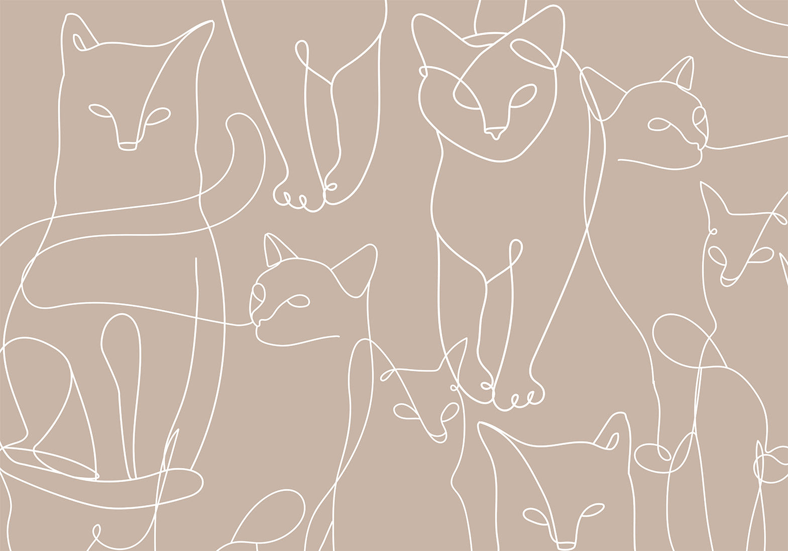 Wall Mural Cat Lineart Minimalist Beige