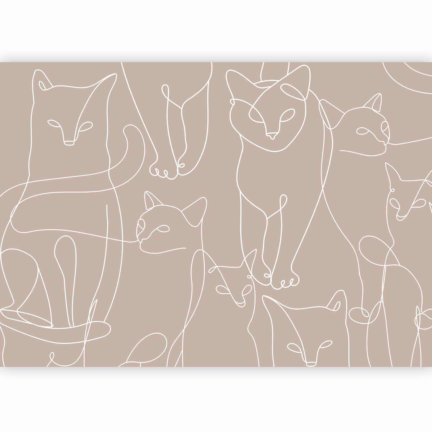 Wall Mural Cat Lineart Minimalist Beige