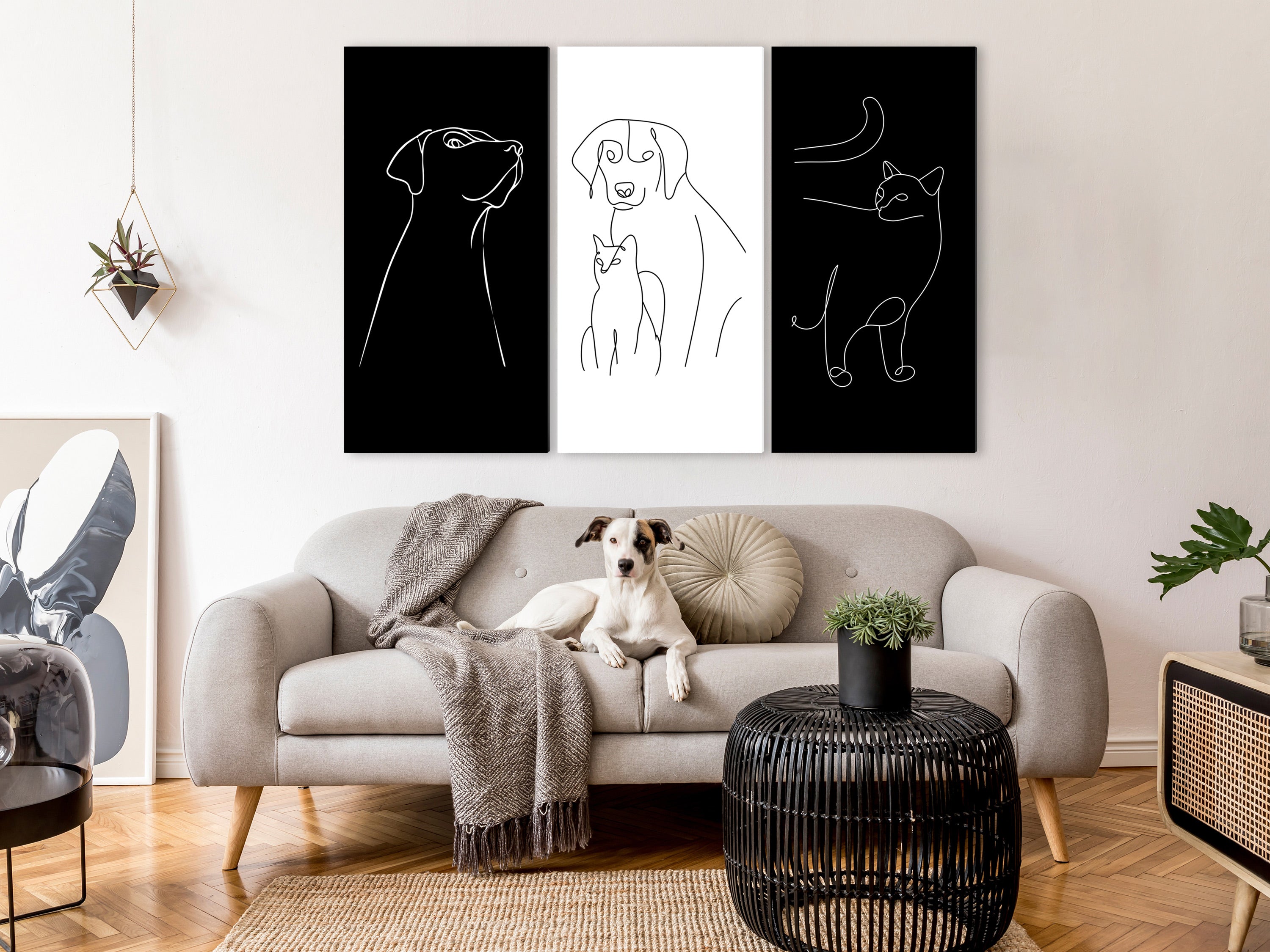 Canvas Print - Domestic Animals (3 Parts)