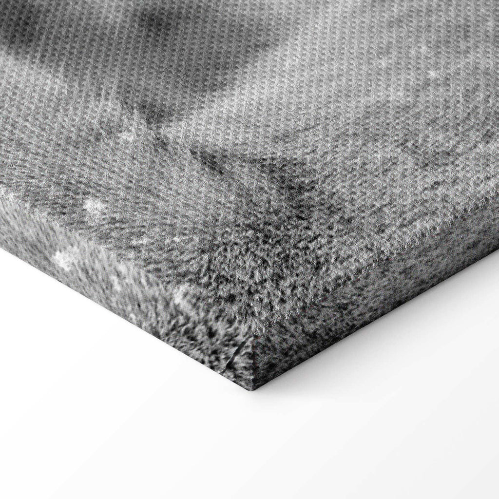 Romantic Lion Couple Canvas Print