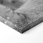 Romantic Lion Couple Canvas Print