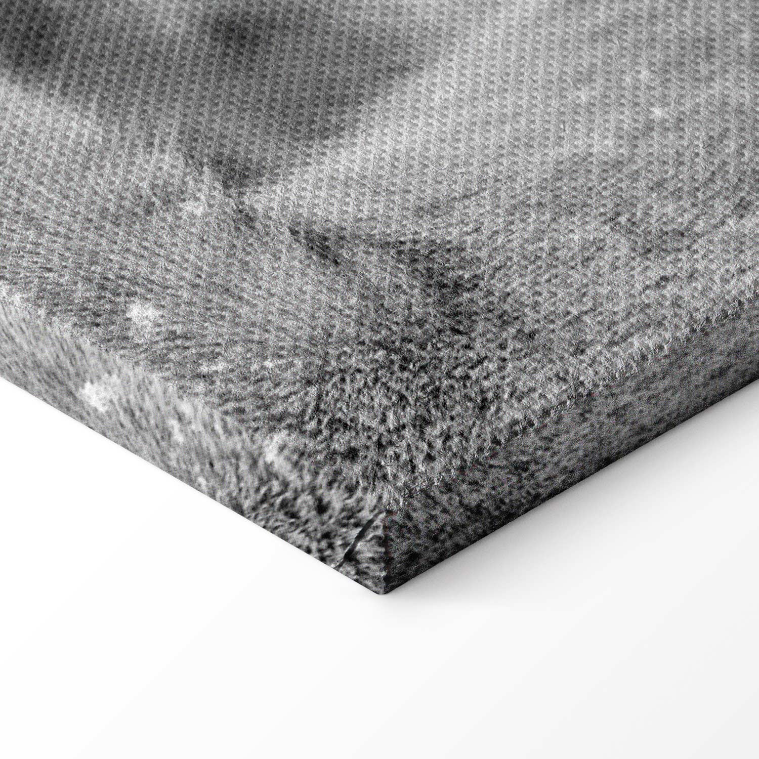 Romantic Lion Couple Canvas Print