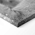 Romantic Lion Couple Canvas Print