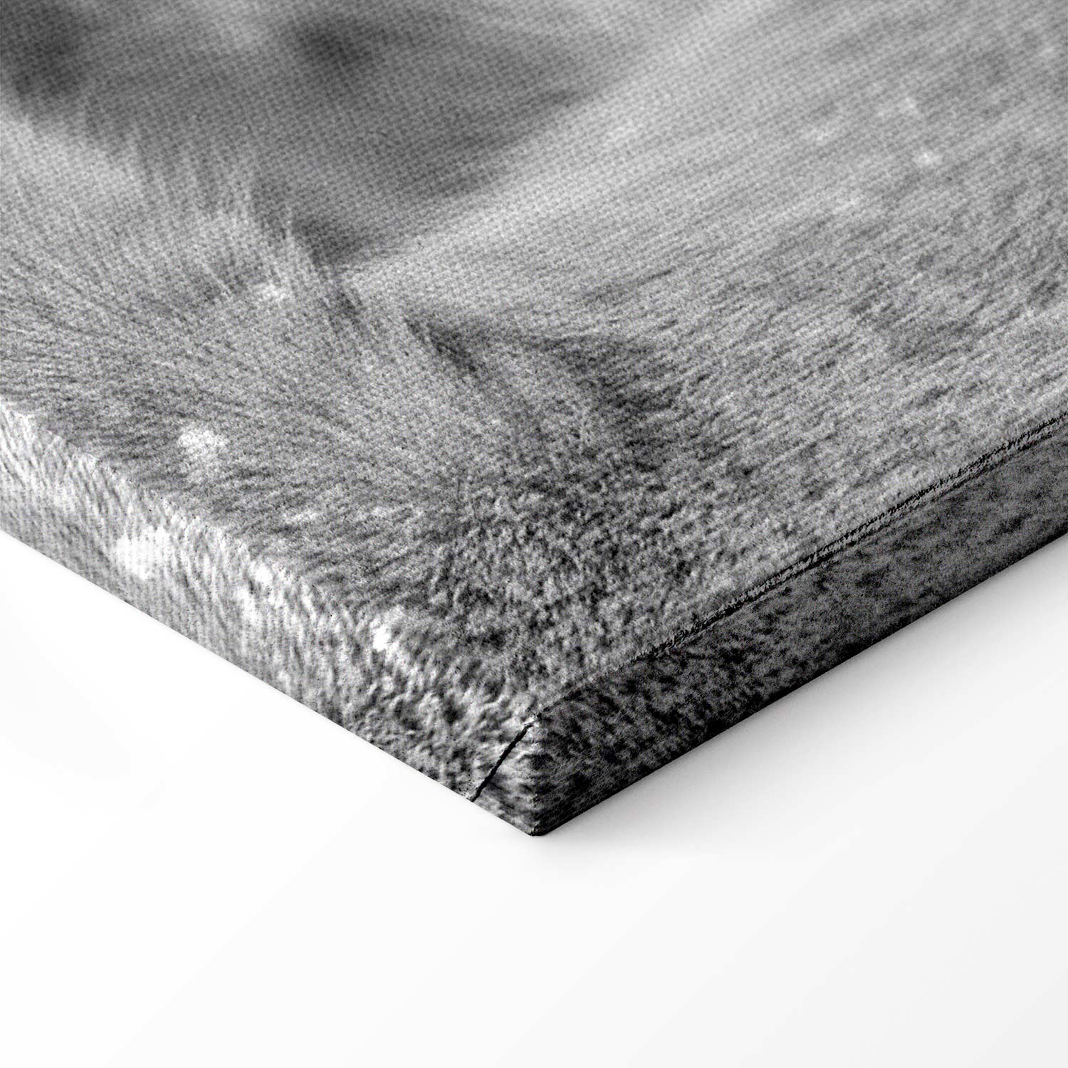 Romantic Lion Couple Canvas Print