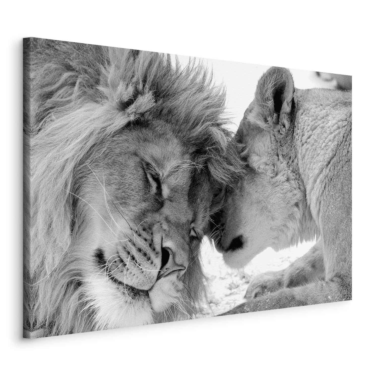 Romantic Lion Couple Canvas Print