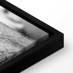 Romantic Lion Couple Canvas Print