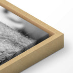 Romantic Lion Couple Canvas Print