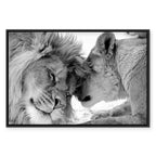 Romantic Lion Couple Canvas Print