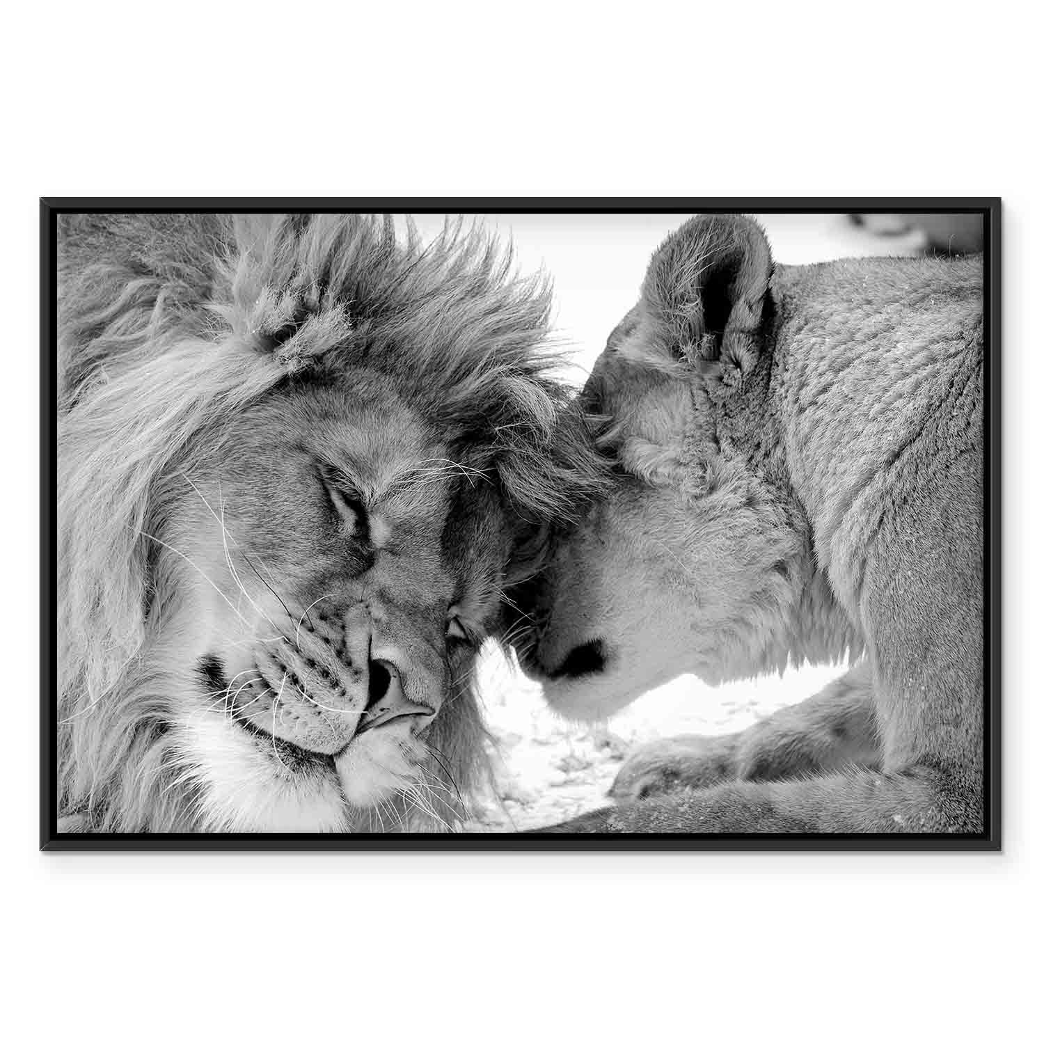 Romantic Lion Couple Canvas Print