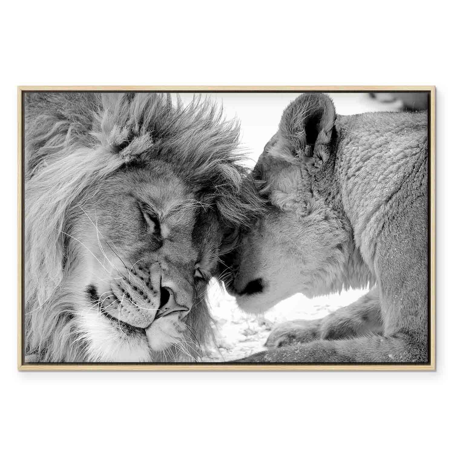 Romantic Lion Couple Canvas Print
