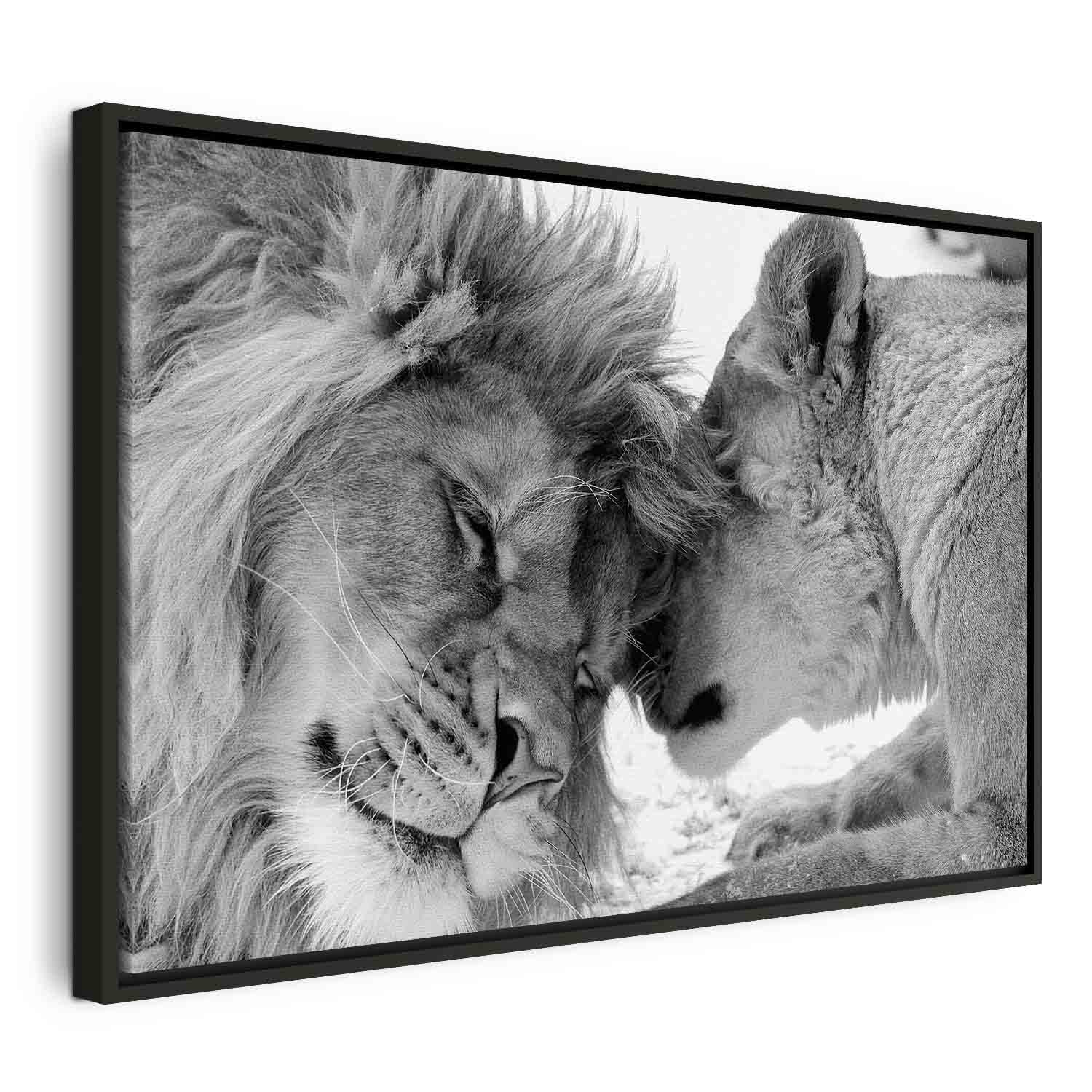 Romantic Lion Couple Canvas Print