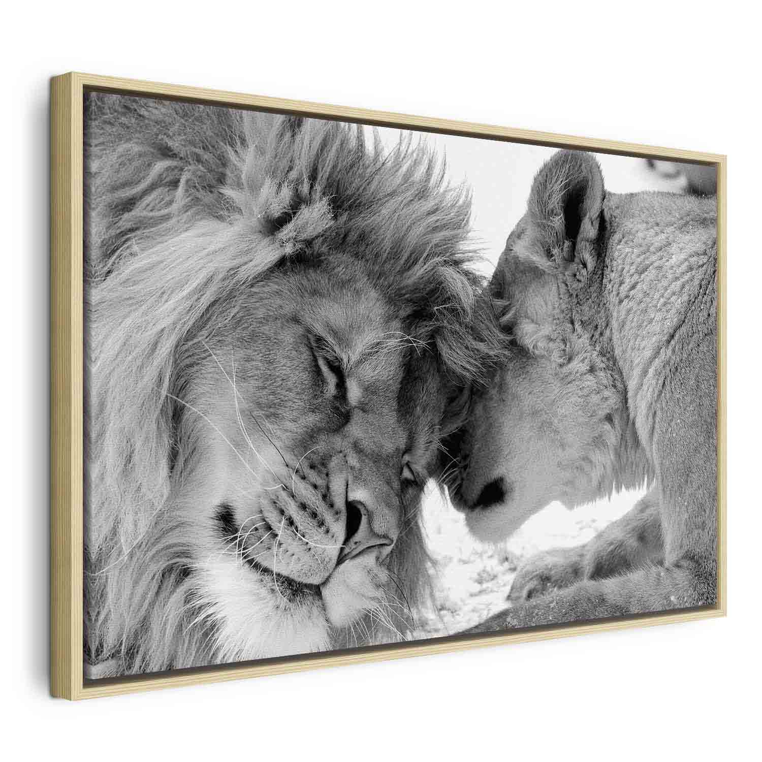 Romantic Lion Couple Canvas Print
